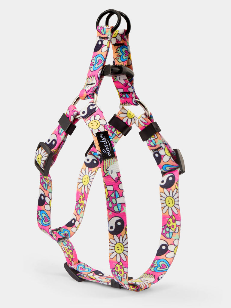 Lucky Step In Harness