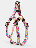Lucky Step In Harness