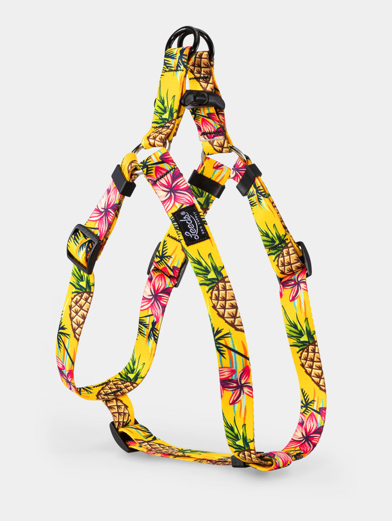 Luau Step In Harness