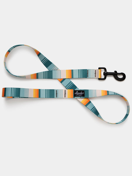 Doheny Leash