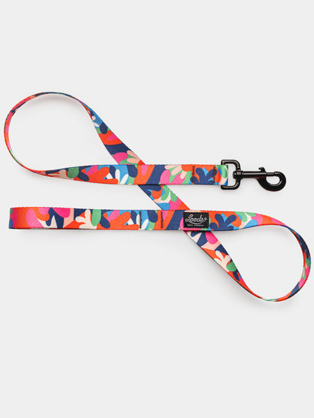 Jane Leash