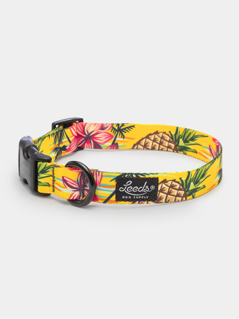 The Luau Collar