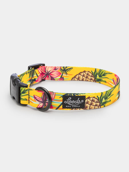 The Luau Collar