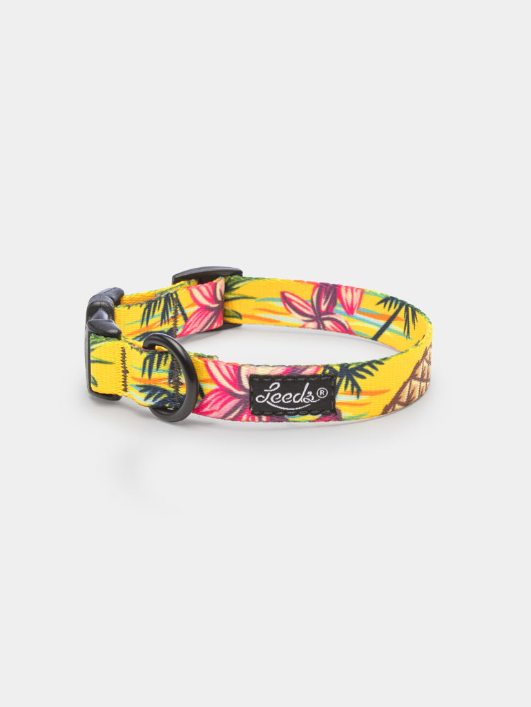 The Luau Collar