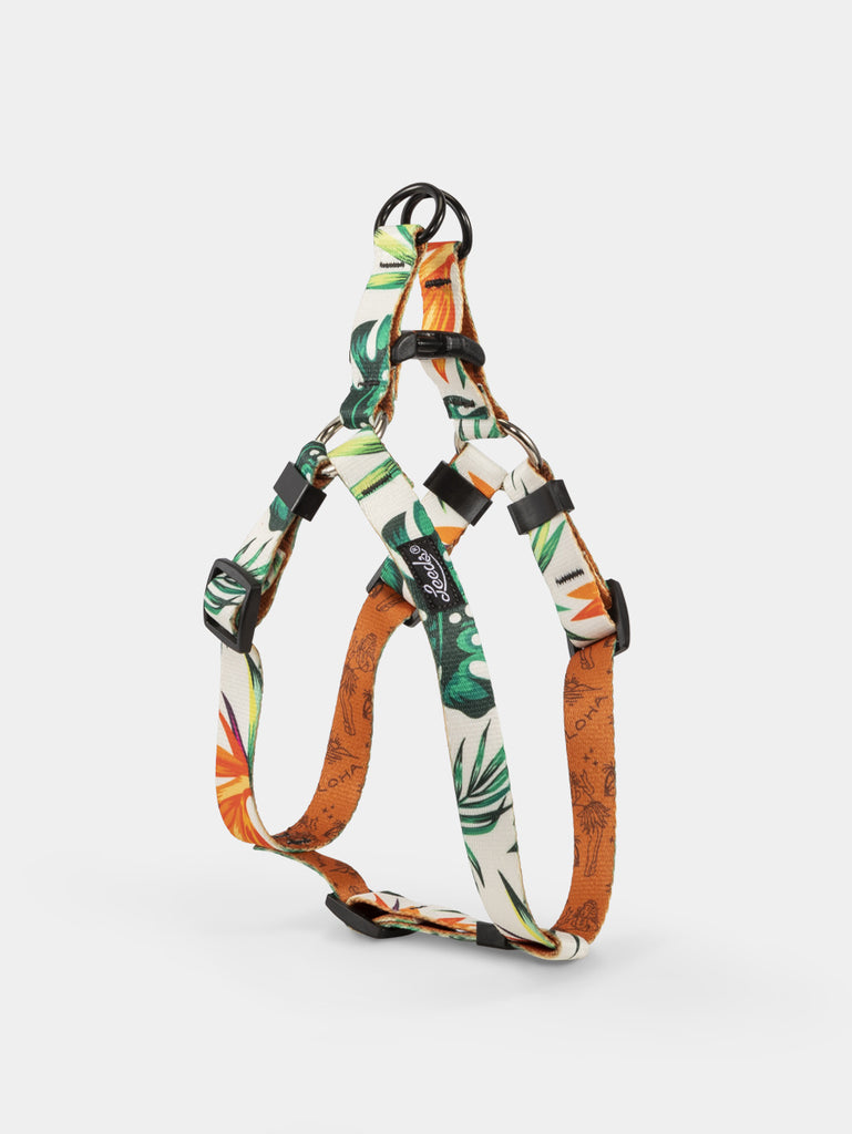 Tropicana Step In Harness