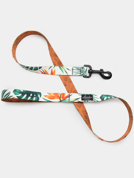 The Tropicana Leash