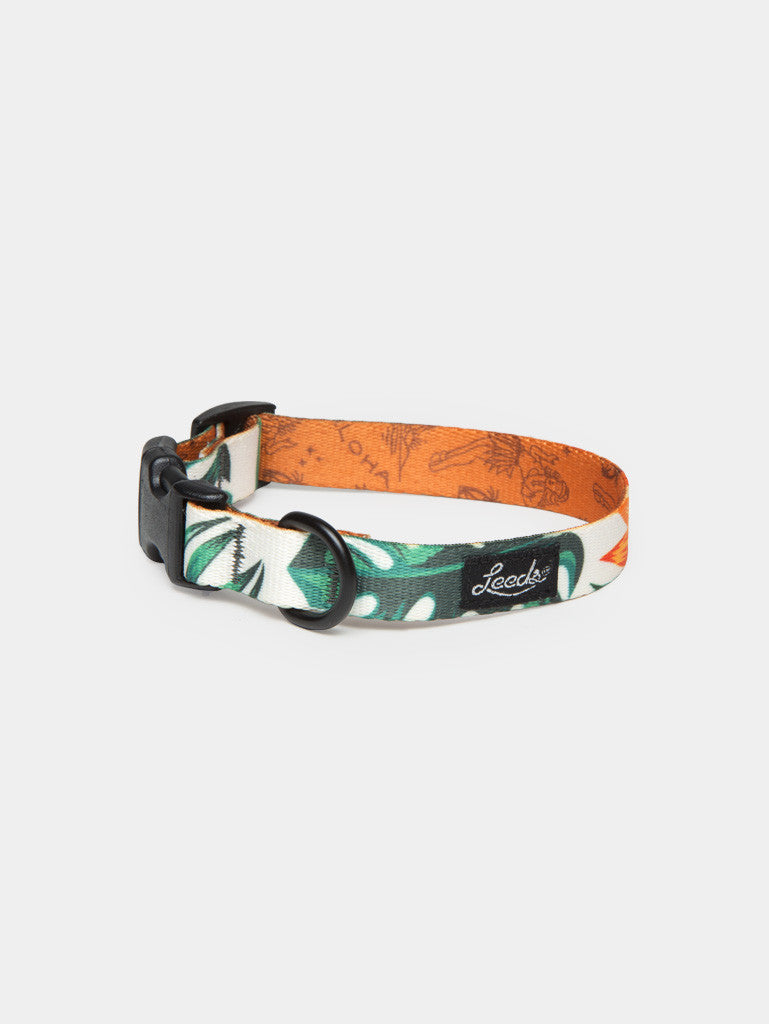 The Tropicana Collar