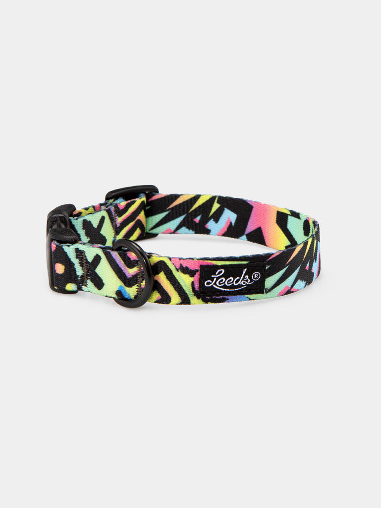 Bodhi Collar Leeds Dog Supply