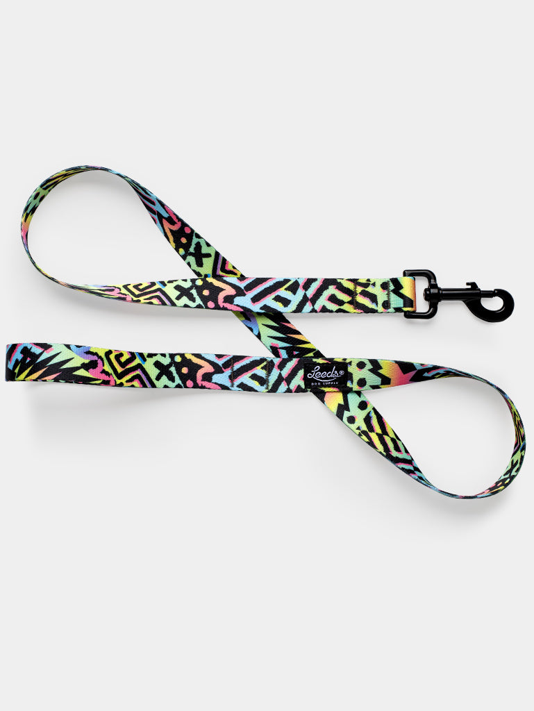 Bodhi Leash Leeds Dog Supply
