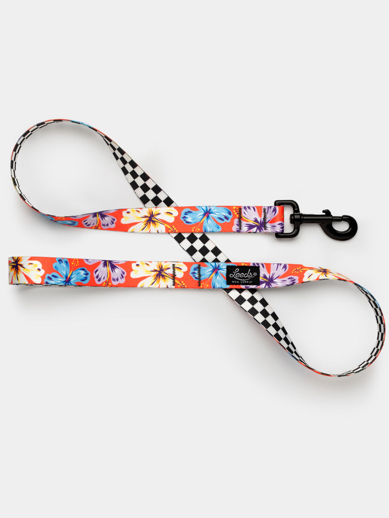 Aloha Deux Leash Leeds Dog Supply