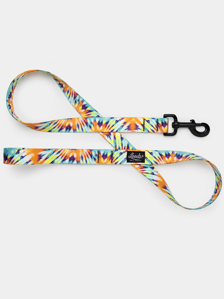 Ashbury Leash Leeds Dog Supply