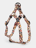 Coco Step In Harness