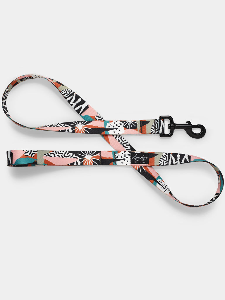 Lynx Leash Leeds Dog Supply
