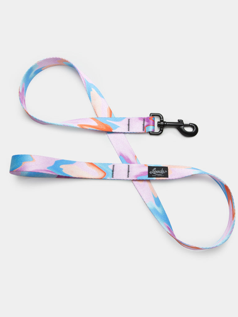 The Pool Party Leash Leeds Dog Supply